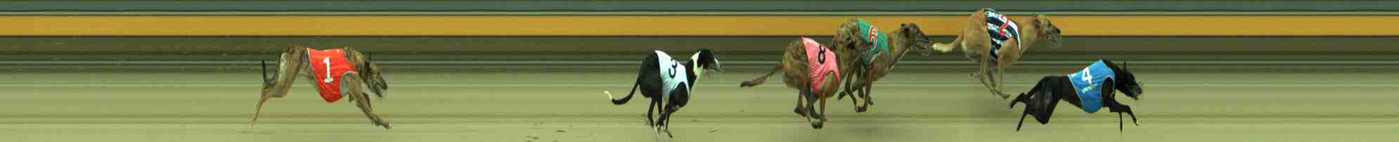 Photo finish for Sale Race 10