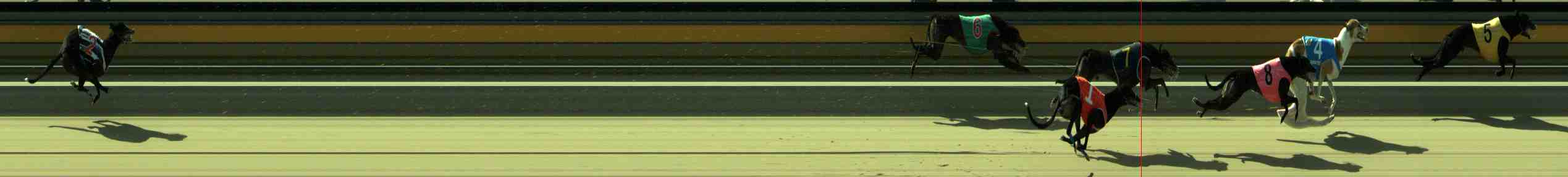 Photo finish for Sale Race 11