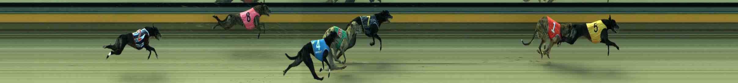Photo finish for Sale Race 12