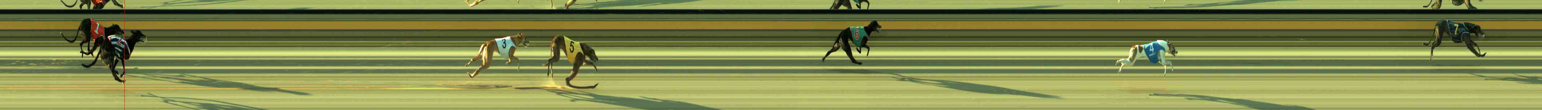 Photo finish for Sale Race 1