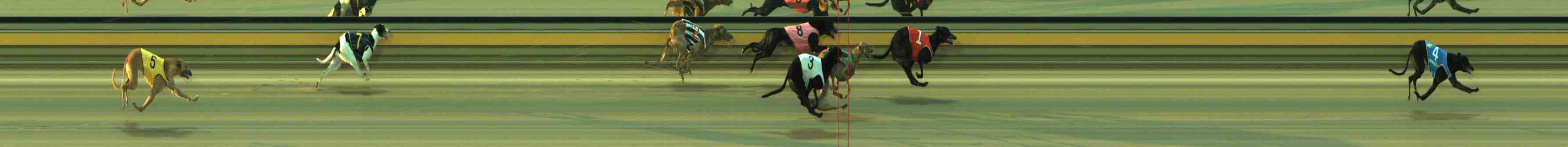 Photo finish for Sale Race 2