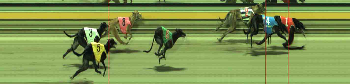 Photo finish for Sale Race 4