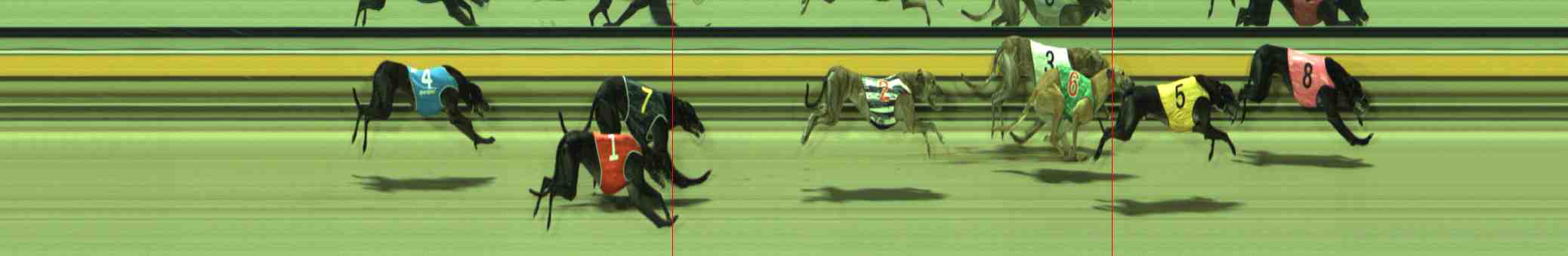 Photo finish for Sale Race 5