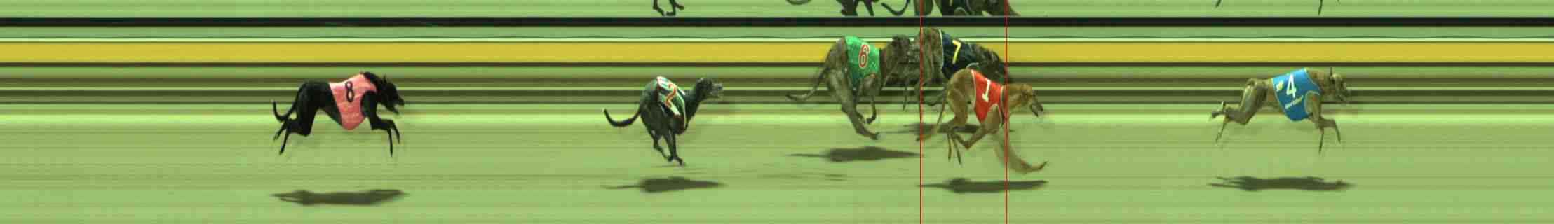 Photo finish for Sale Race 6