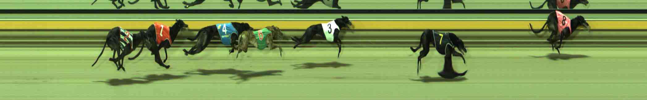 Photo finish for Sale Race 7