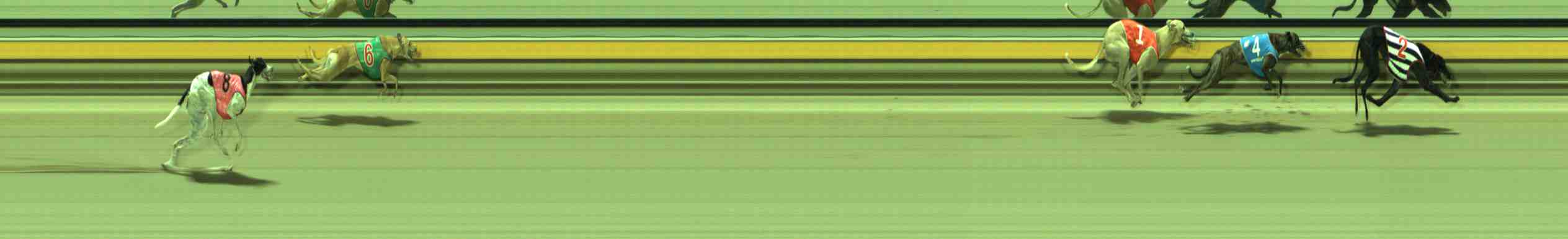 Photo finish for Sale Race 8