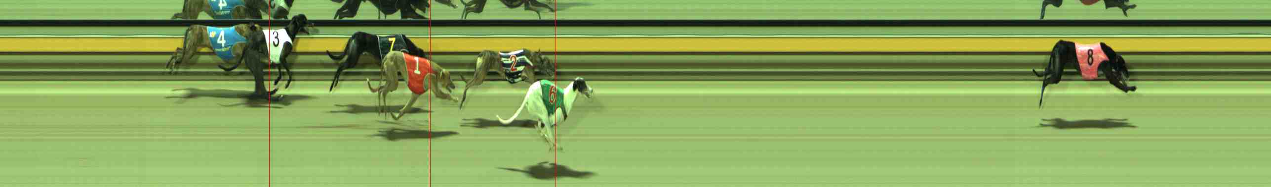 Photo finish for Sale Race 9