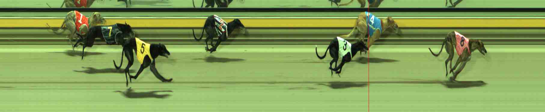 Photo finish for Sale Race 10