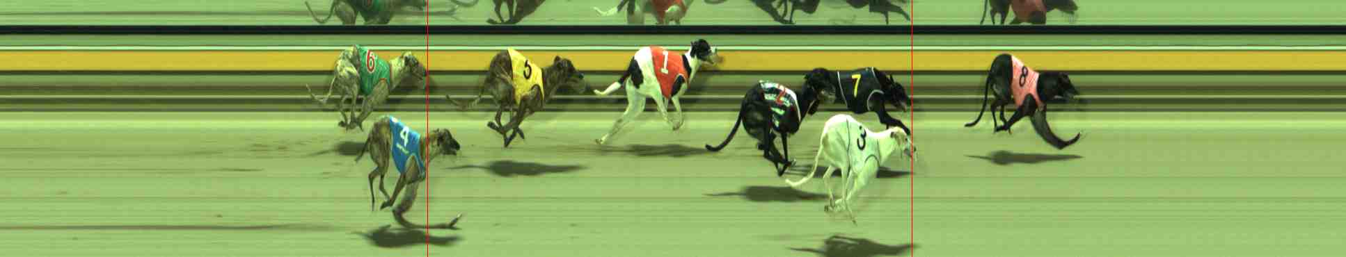 Photo finish for Sale Race 11
