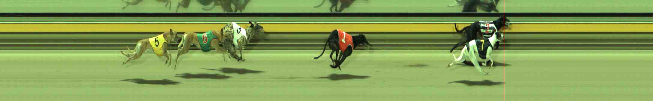Photo finish for Sale Race 12