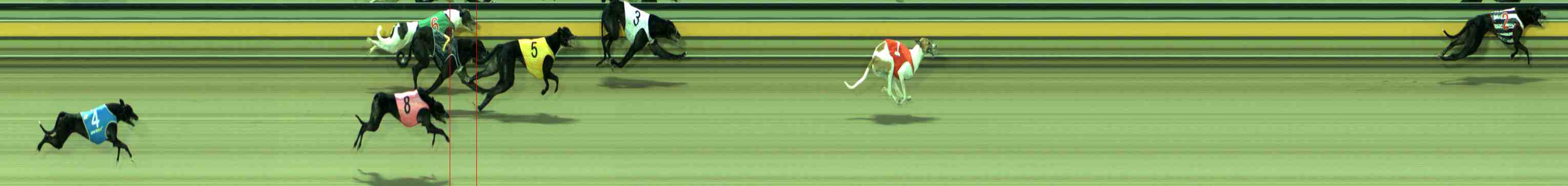 Photo finish for Sale Race 1
