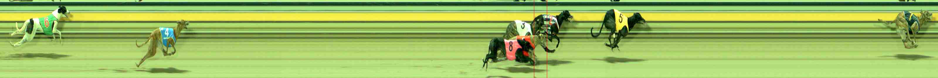 Photo finish for Sale Race 2