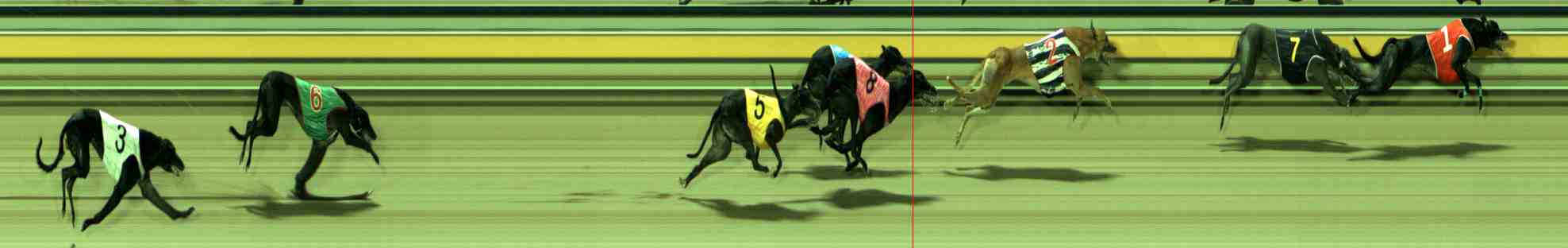 Photo finish for Sale Race 4