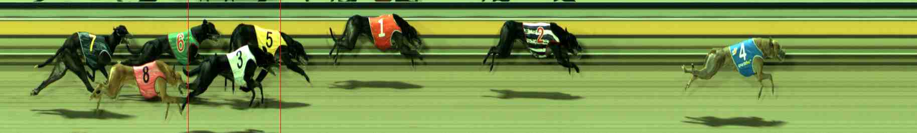 Photo finish for Sale Race 5