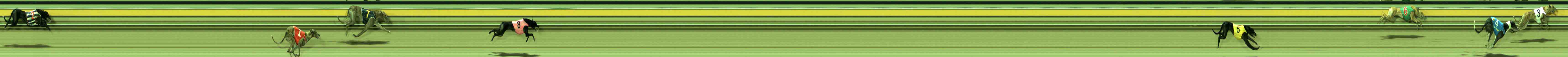 Photo finish for Sale Race 6