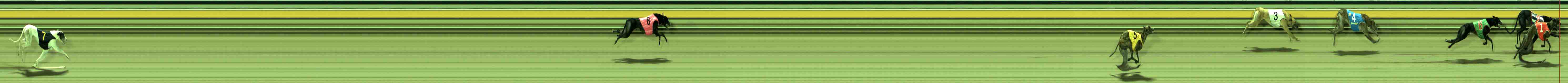 Photo finish for Sale Race 8