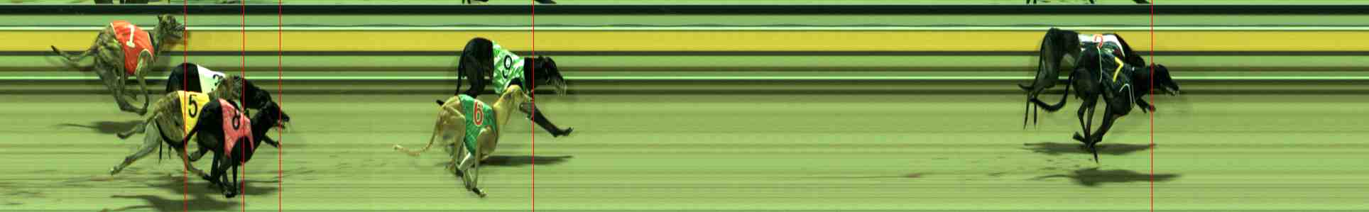 Photo finish for Sale Race 9