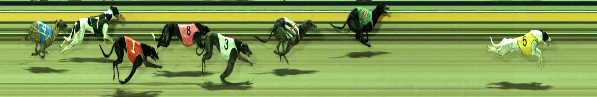 Photo finish for Sale Race 10