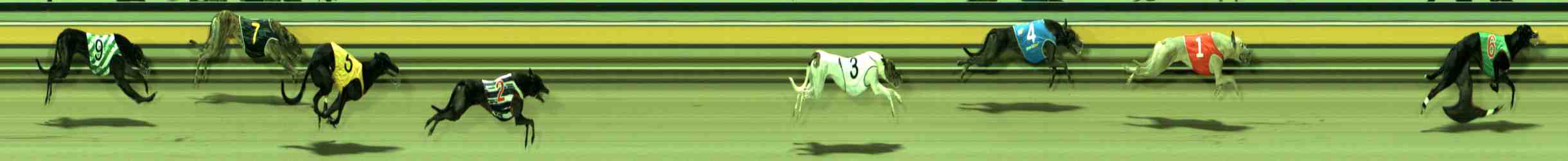 Photo finish for Sale Race 11