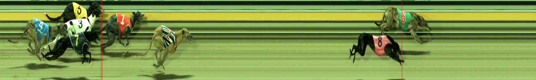 Photo finish for Sale Race 12