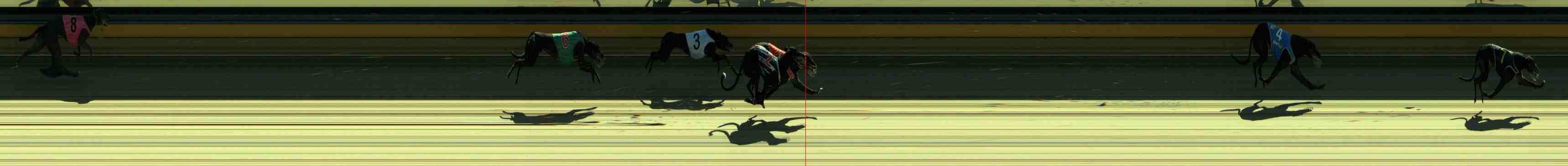 Photo finish for Sale Race 1