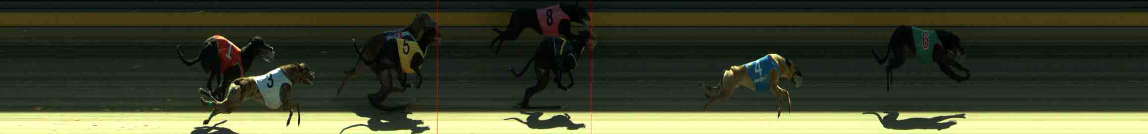 Photo finish for Sale Race 2