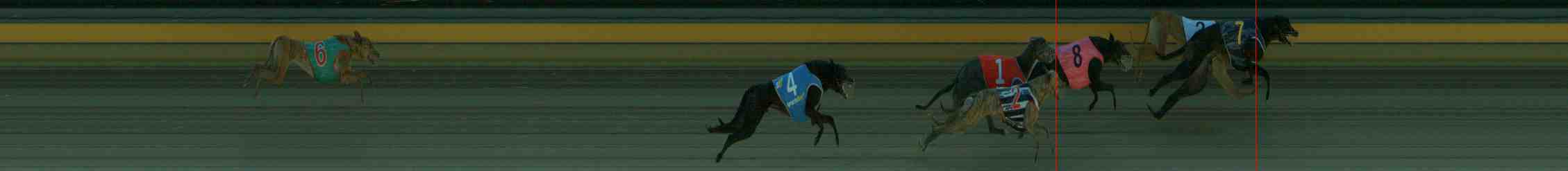 Photo finish for Sale Race 3