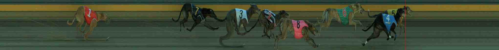 Photo finish for Sale Race 4