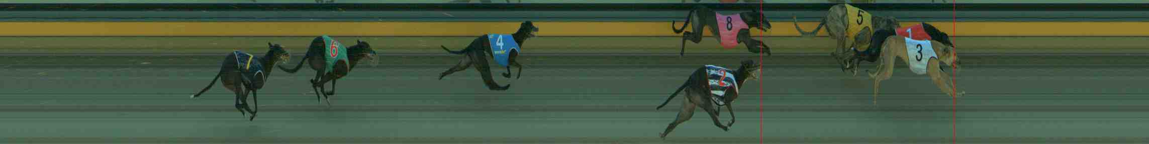 Photo finish for Sale Race 5