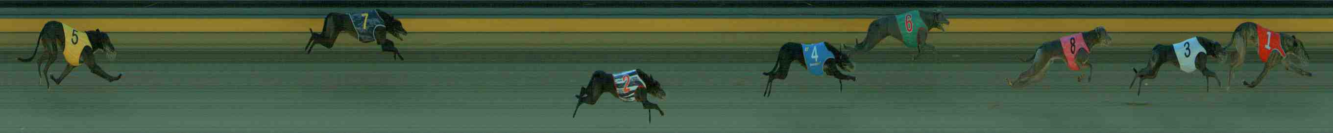 Photo finish for Sale Race 6