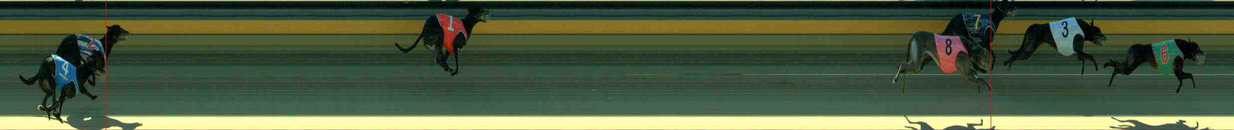 Photo finish for Sale Race 7