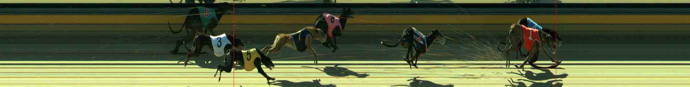 Photo finish for Sale Race 8