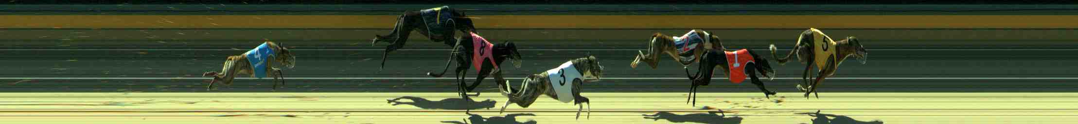 Photo finish for Sale Race 9