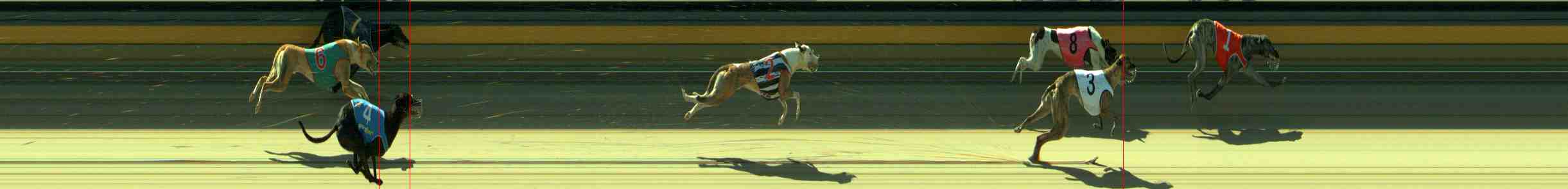 Photo finish for Sale Race 10