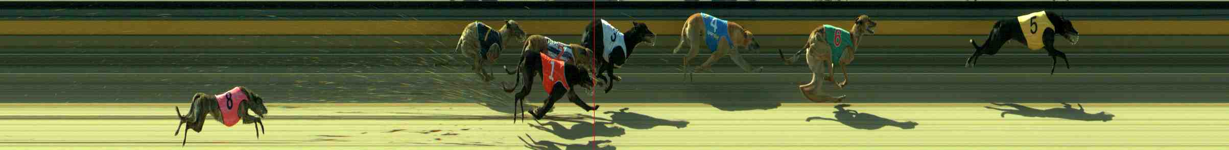 Photo finish for Sale Race 11