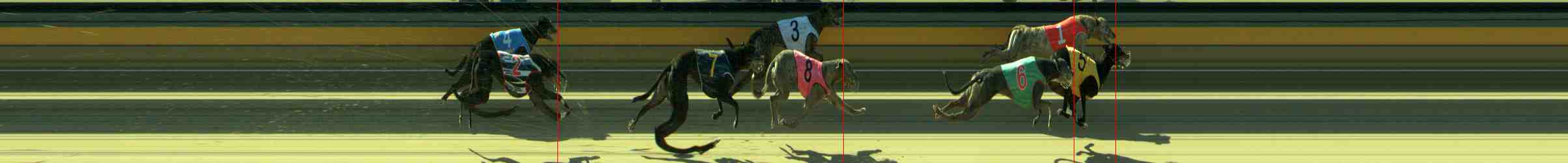 Photo finish for Sale Race 12