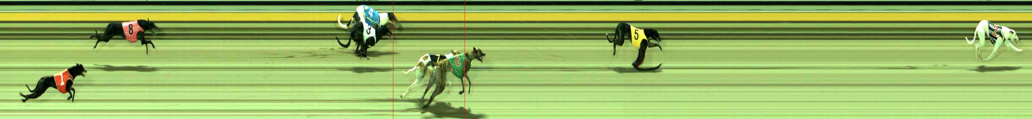 Photo finish for Sale Race 1
