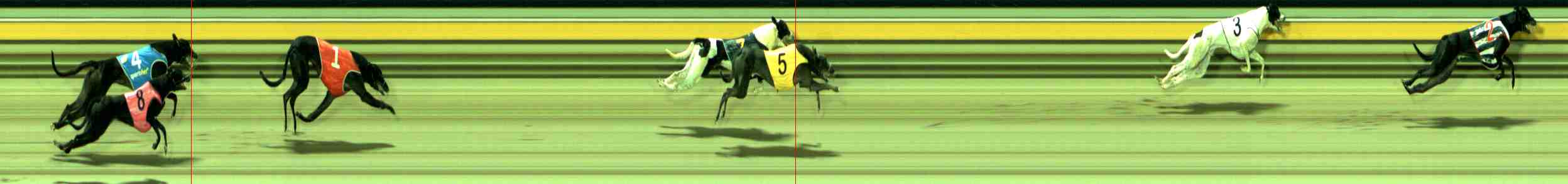 Photo finish for Sale Race 2