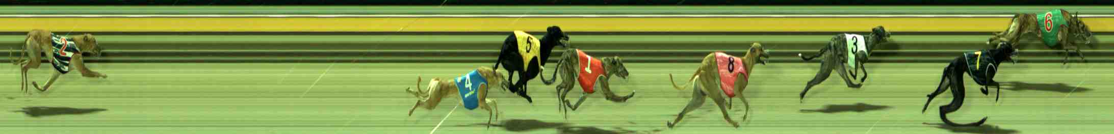 Photo finish for Sale Race 3