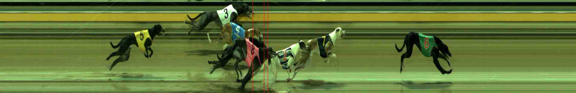 Photo finish for Sale Race 4