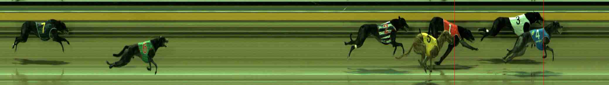 Photo finish for Sale Race 5