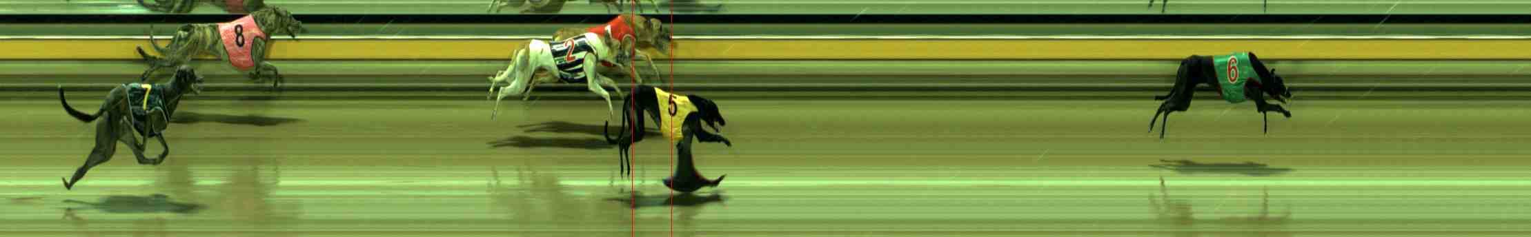 Photo finish for Sale Race 6