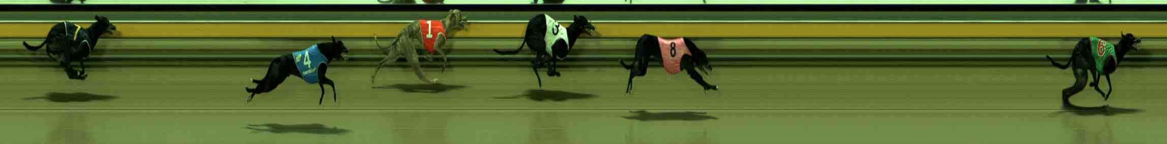 Photo finish for Sale Race 7
