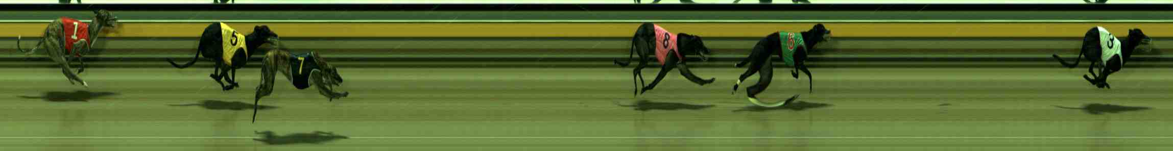 Photo finish for Sale Race 8