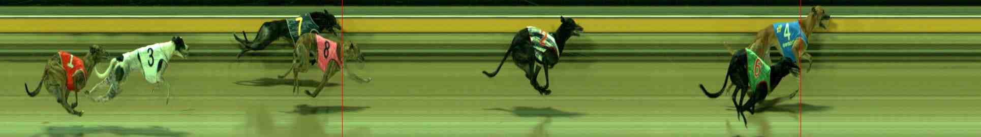Photo finish for Sale Race 9