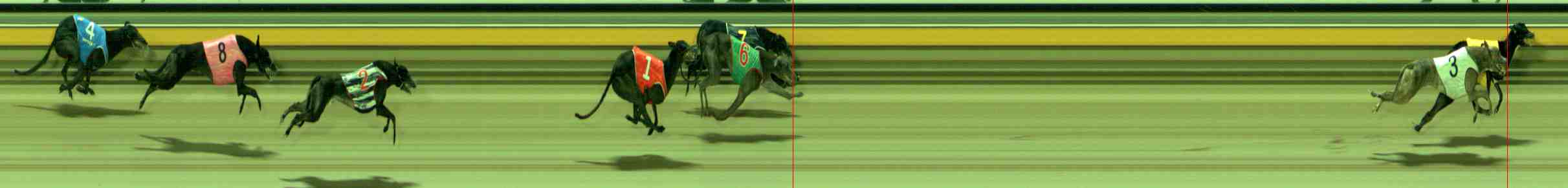 Photo finish for Sale Race 10