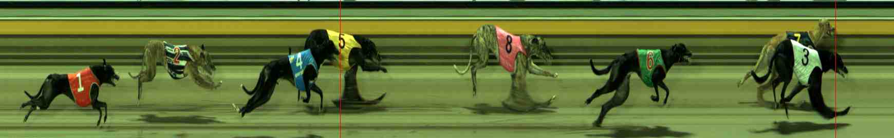 Photo finish for Sale Race 11