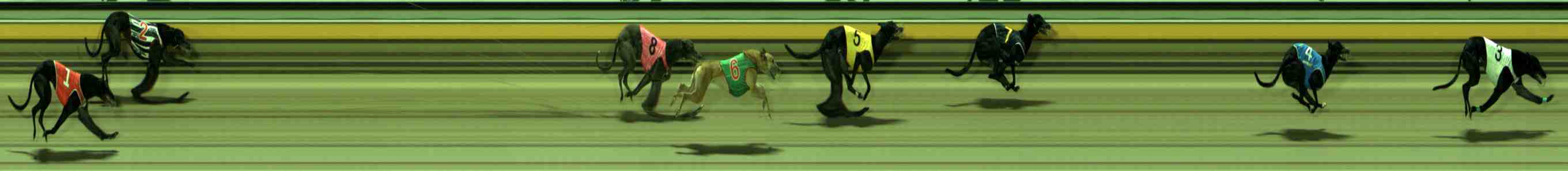 Photo finish for Sale Race 12