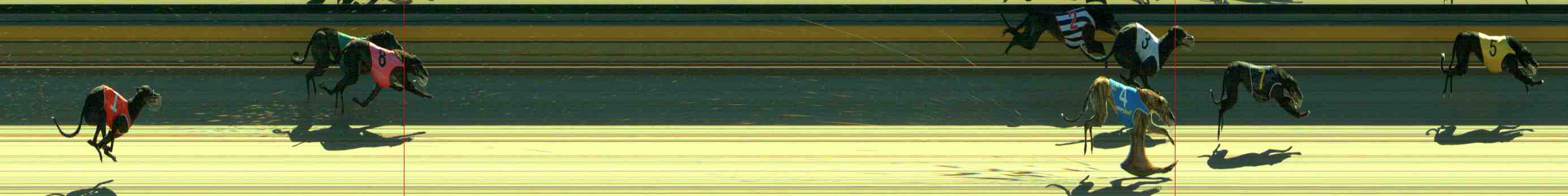 Photo finish for Sale Race 1