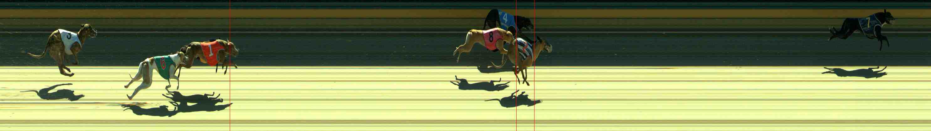 Photo finish for Sale Race 2